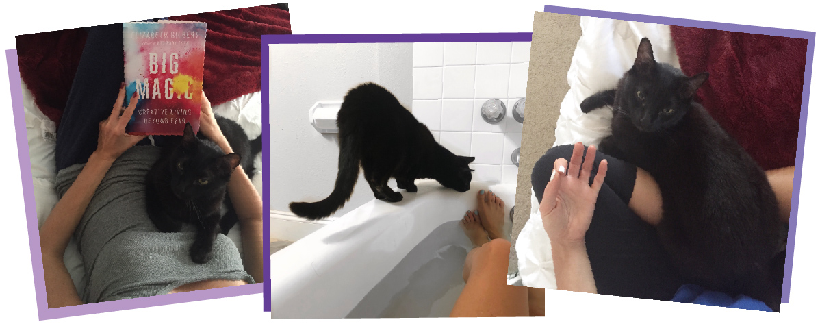 Lauren Grace Living kitty