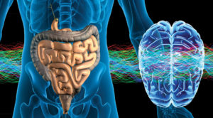 brain-gut-connection
